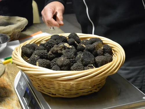 Toutes les infos sur la fête de la truffe et des papilles 